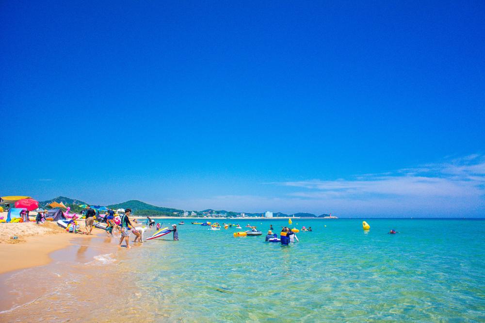 레전드 캠핑장 송지호오토캠핑장 소개