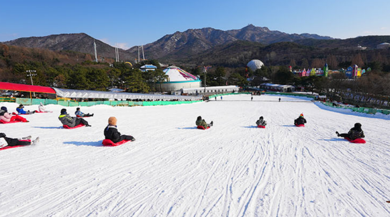 서울랜드 눈썰매장