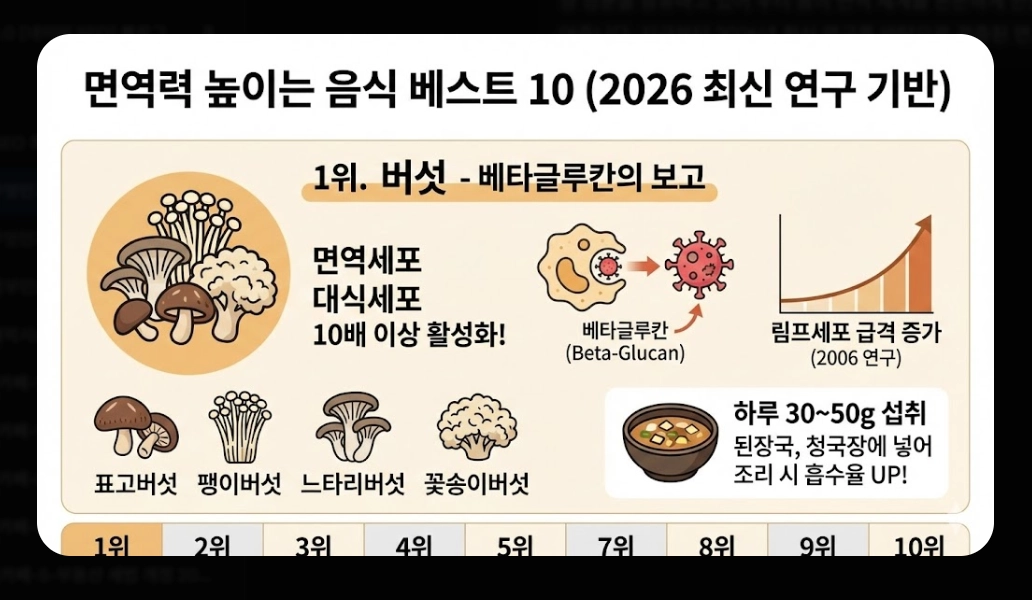 면역력 높이는 음식 베스트 10 [2026년판] 강화 식품 섭취법 및 생활 습관 총정리