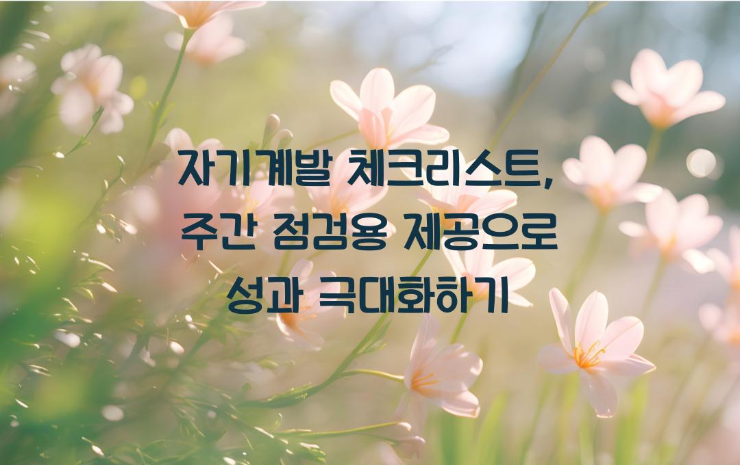 자기계발 체크리스트, 주간 점검용 제공