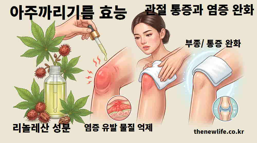 아주까리기름 효능 관절 통증 염증 완화