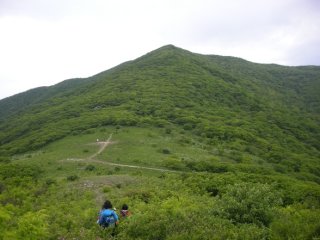 곰배령 예약하기