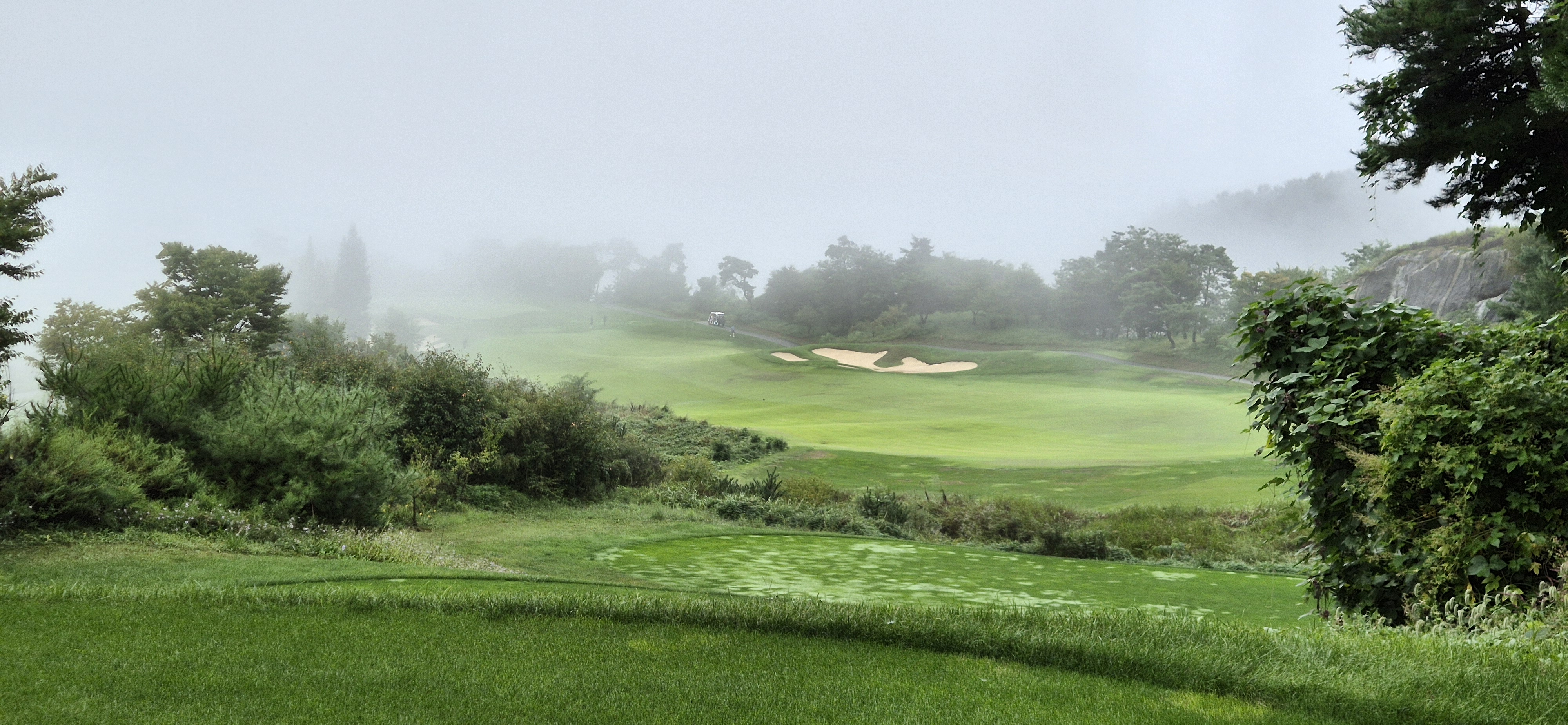 더플레이어스cc