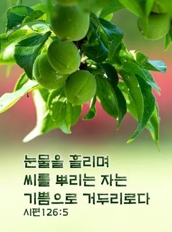 시편 5장 3절 읽기 - 여호와여 아침에 주께서 나의 소리를 들으시리니 아침에 내가 주께 기도하고 바라리이다_10