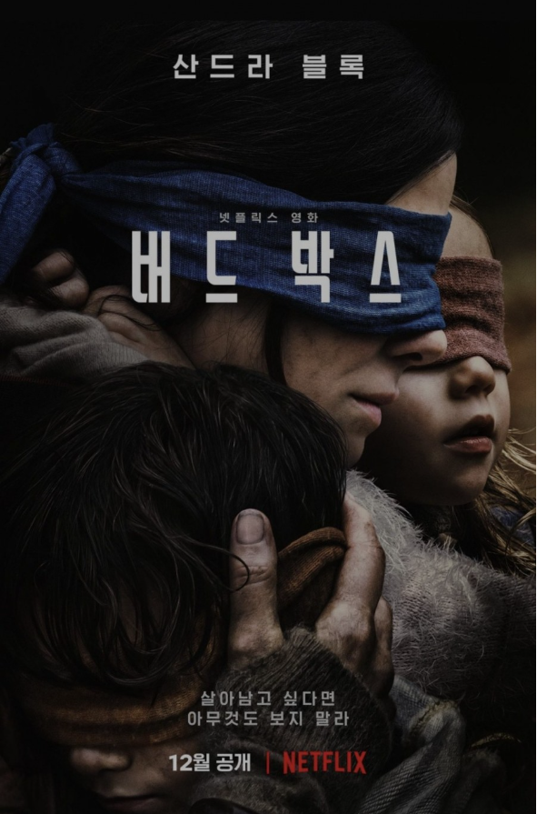 버드 박스
