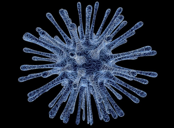 알스트롬 증후군 초희귀 질환의 정체와 영향