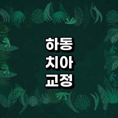 하동군 교정 치과
