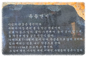 연지
