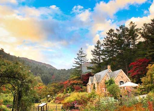 가평 아침 고요 수목원