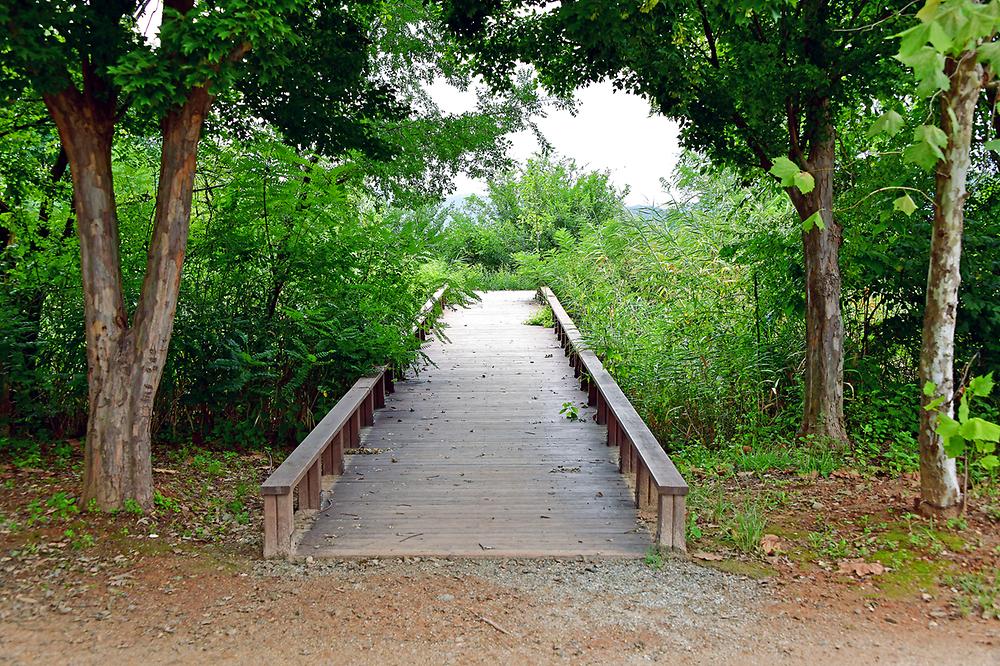 전라도 광주시민의 숲 야영장 소개