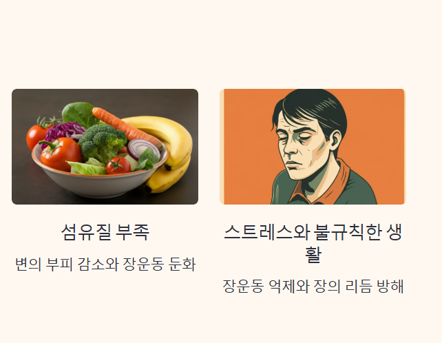 변비