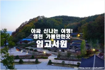 영천 가볼만한곳 맛집 카페 추천 여름 사진 명소_5