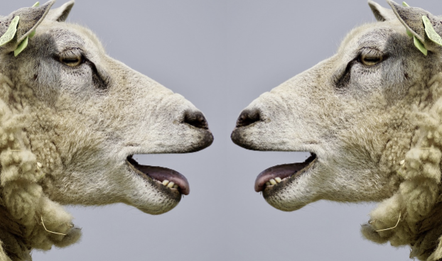 한국의 욕설은 왜 이렇게 창의적일까? 금기어의 사회적 위치와 젠더, 세대별 차이