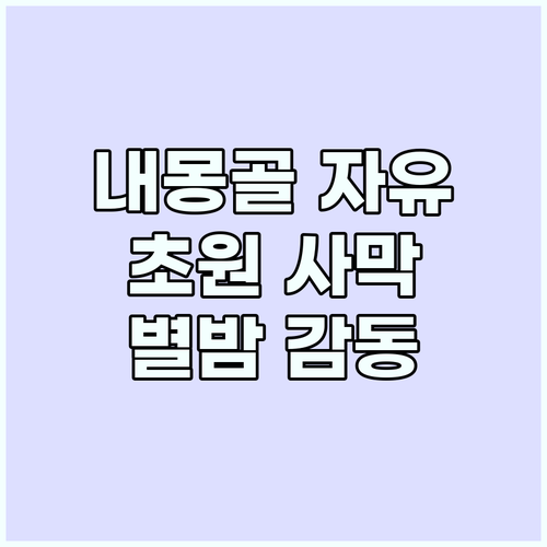 내몽골에서 진짜 자유를! 초원 사막 ..