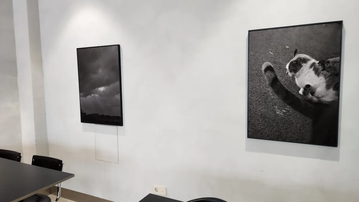 카페-고양이그림-액자