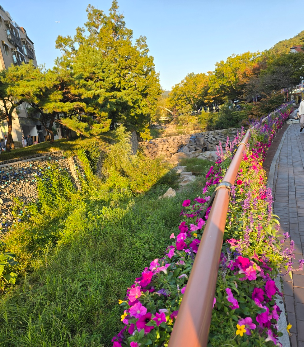 주차장으로 내려가는길
