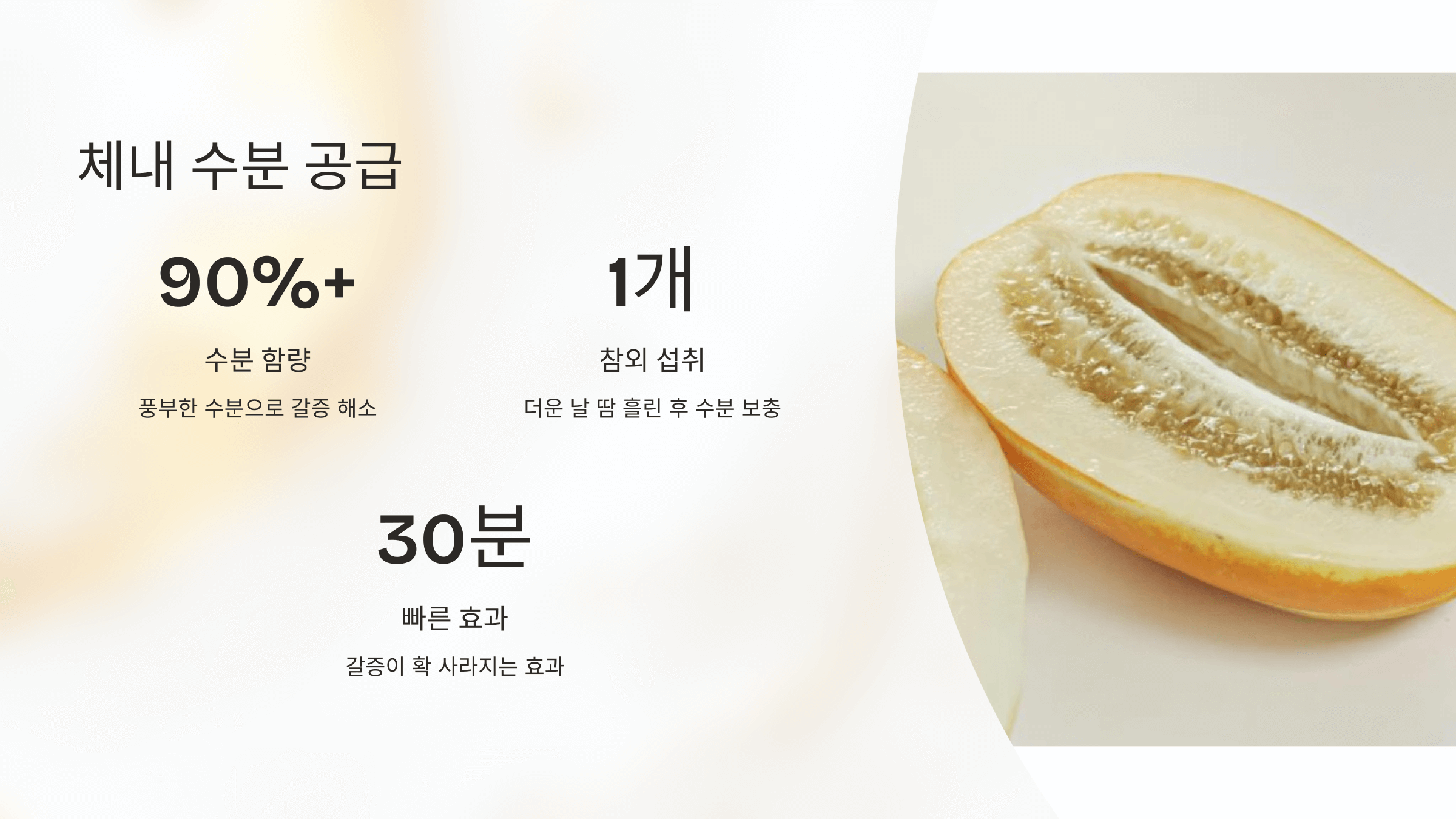 참외 사진입니다.