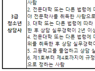 청소년 상담사