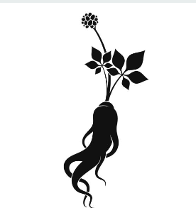 산삼