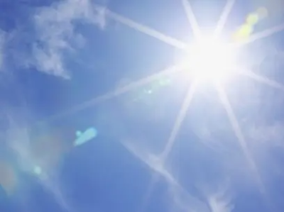 빈대 예방 및 퇴치