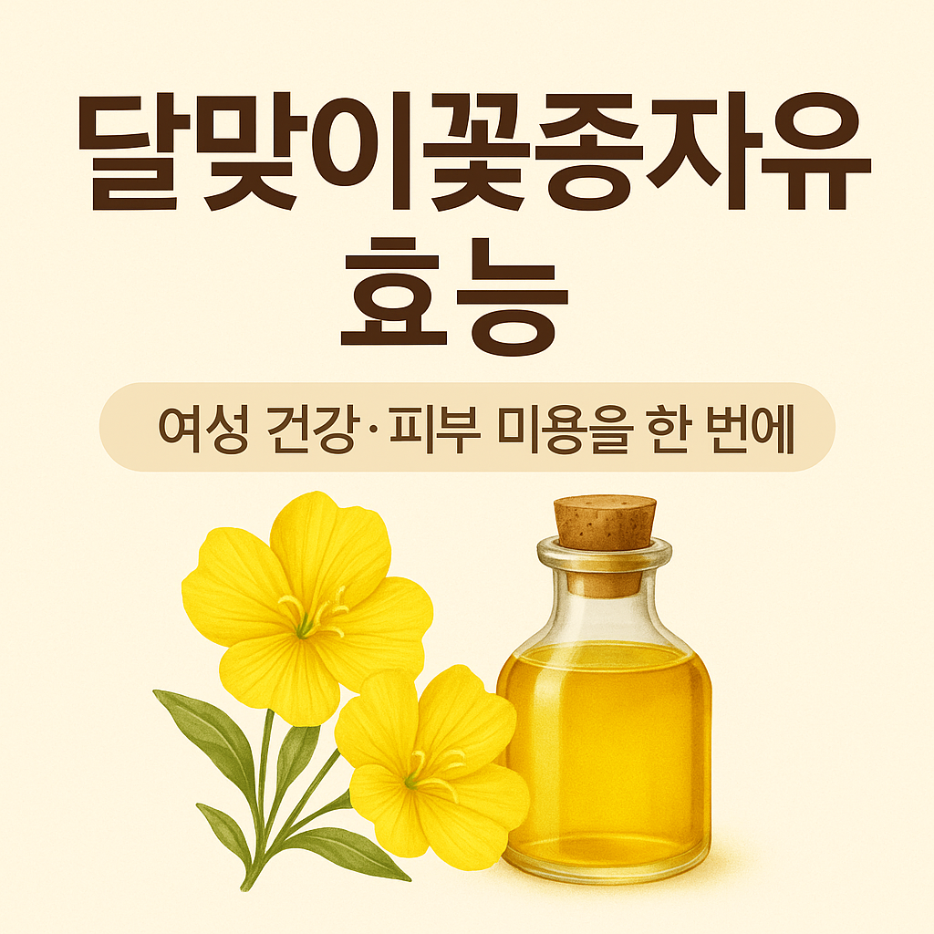 달맞이꽃 종자유 효능 총정리 여성 건강과 피부에 좋은 이유