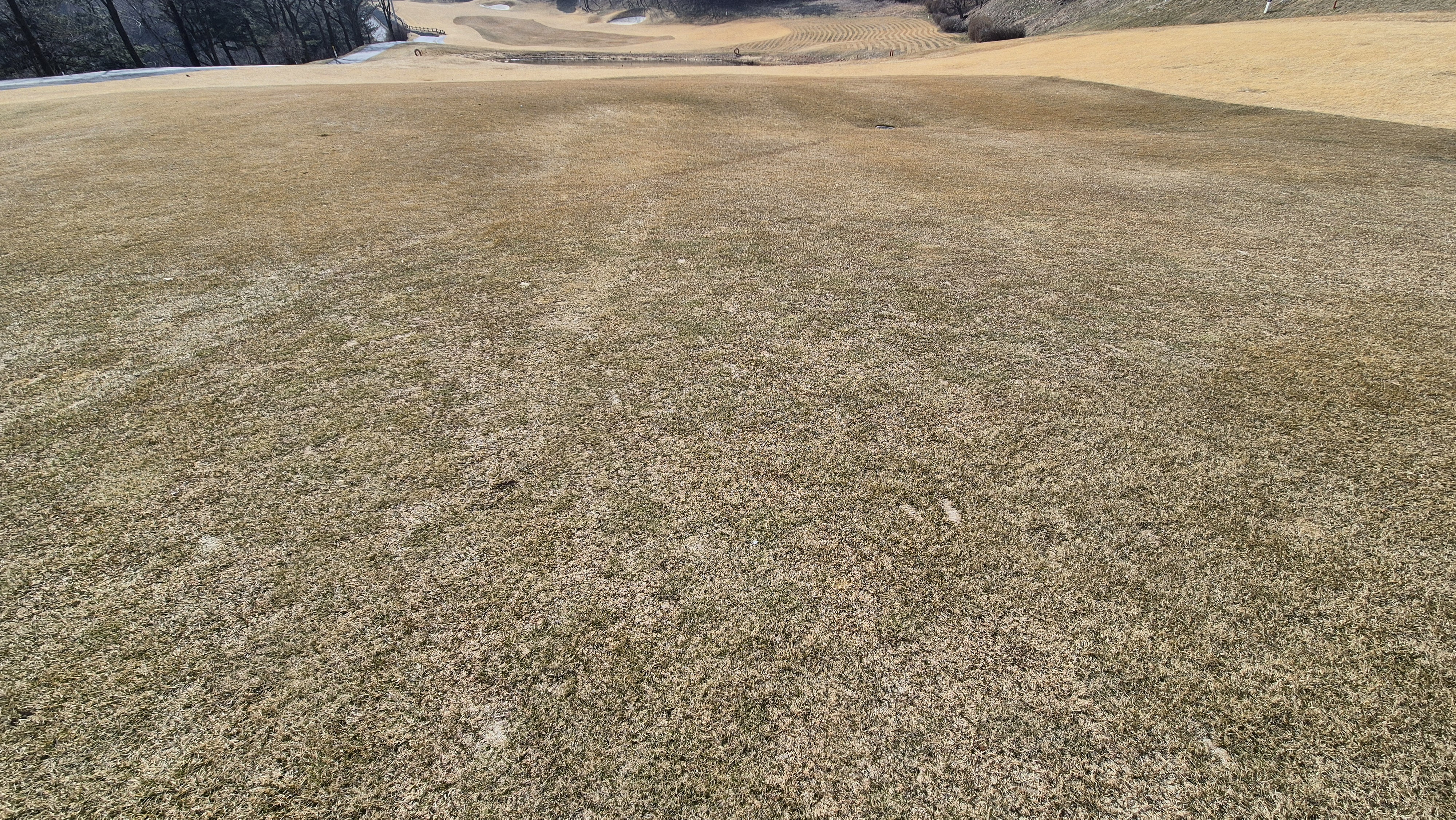 아난티코드gc 잣나무-느티나무 코스 관리상태