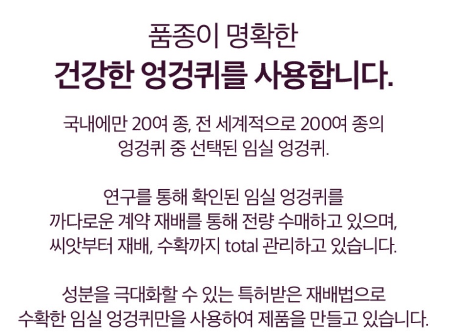 6시내고향-임실-엉겅퀴