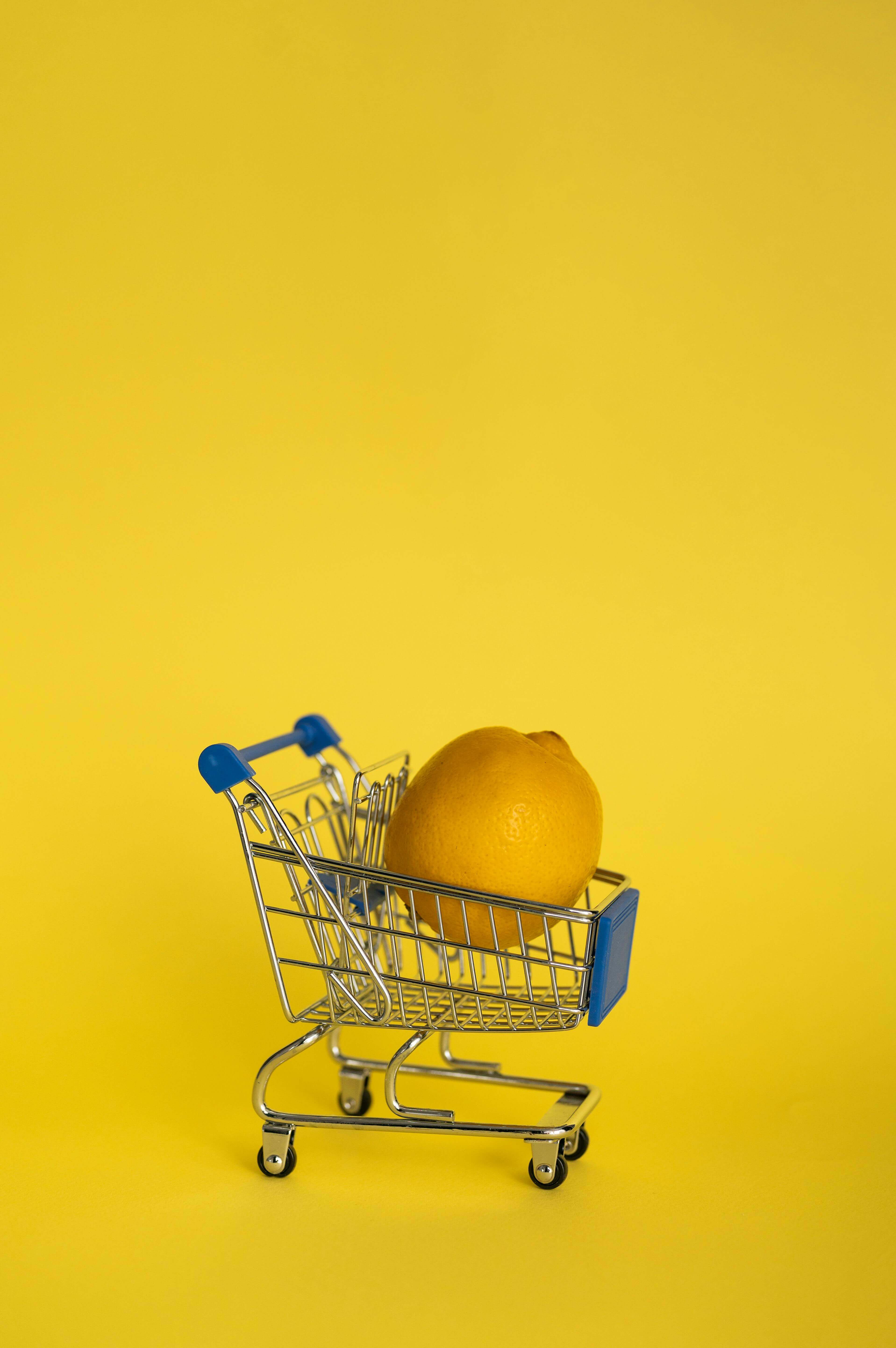 롯데마트 전단지 바로가기