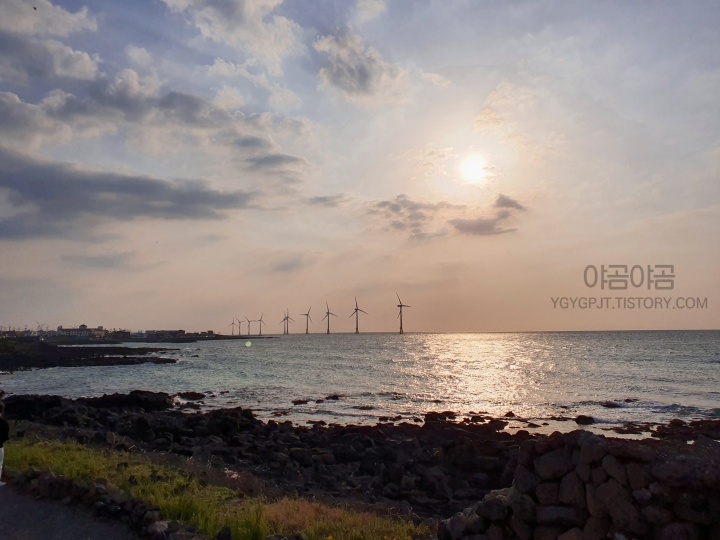 신창풍차해안도로