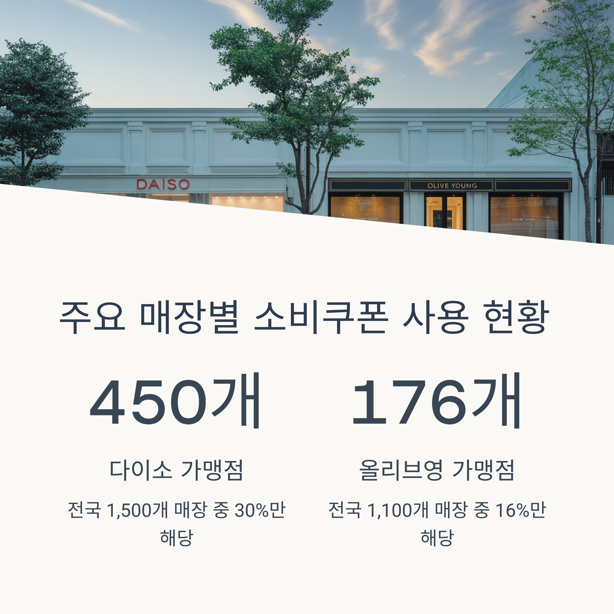 소비쿠폰 사용처