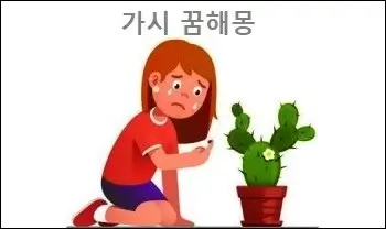 가시 꿈해몽