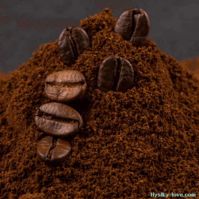 커피를 내리고 남은 찌꺼기