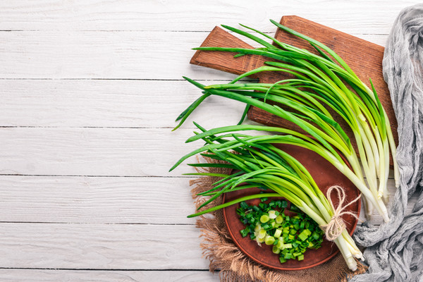 김장쪽파 심는시기