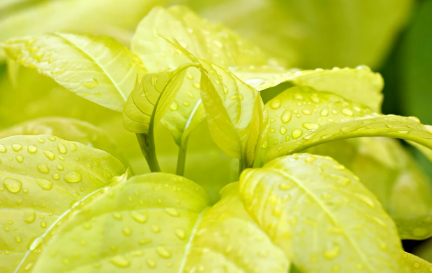 제로 웨이스트와 부의 재분배 : 환경을 생각하는 소비가 사회적 가치 창출로 이어지는 과정