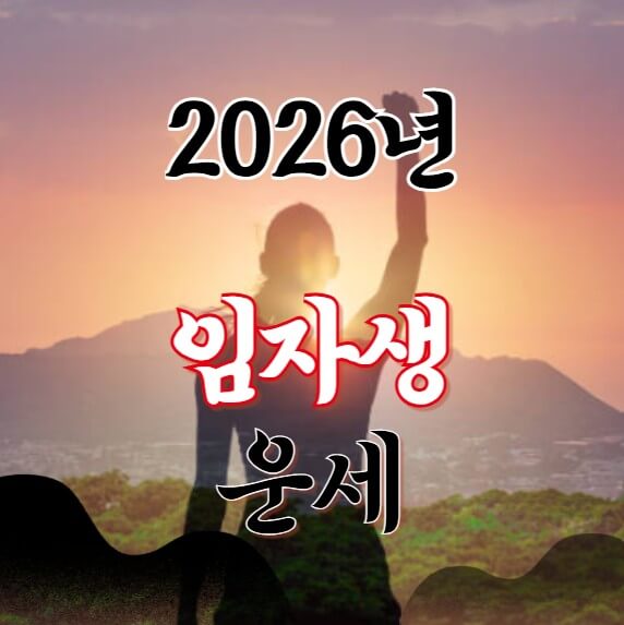 2026년 임자생 운세