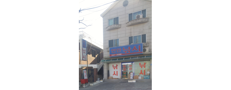 강릉시 낚시용품