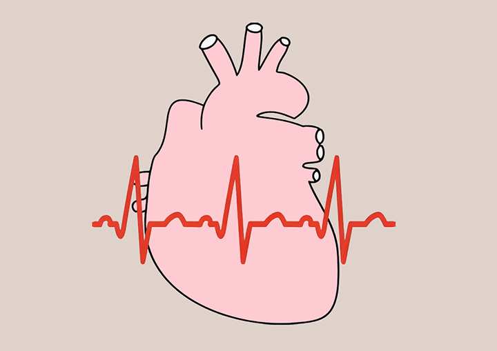 빠른-심박수가-감지되는-심장