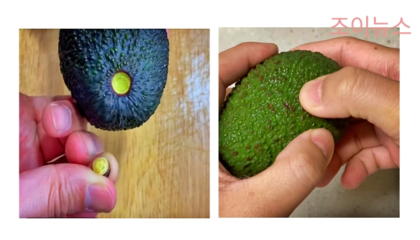좋은 아보카도 고르는 방법