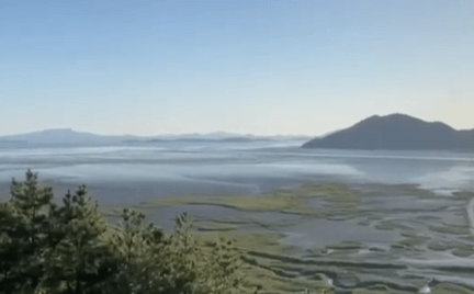 가을여행지 순천만습지