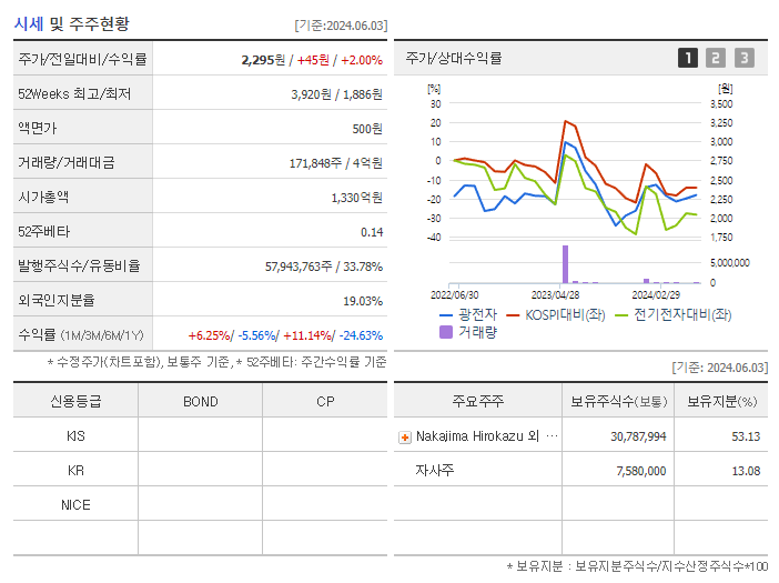 광전자_기업개요