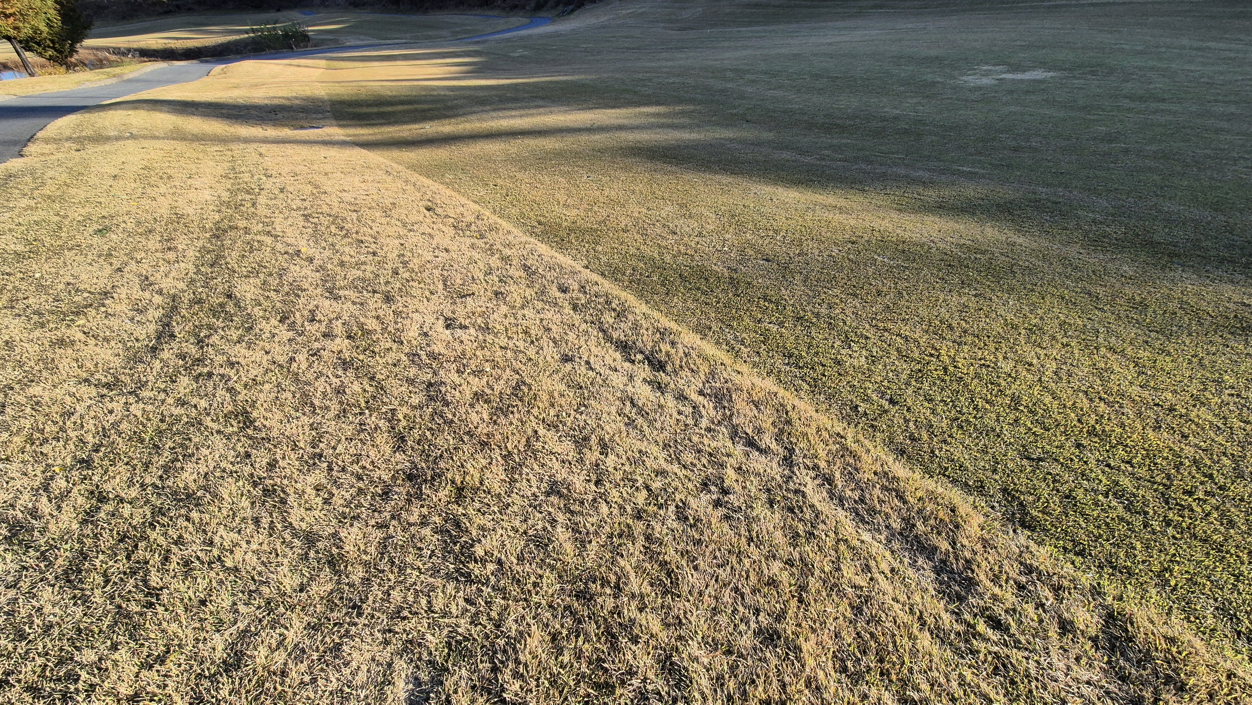 레이캐슬cc 코스 관리 상태