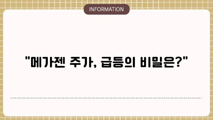 메가젠임플란트 주식의 특성