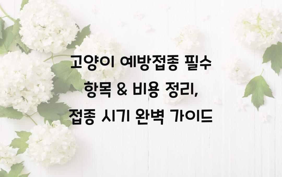 고양이 예방접종 필수 항목, 접종 시기 & 비용 정리