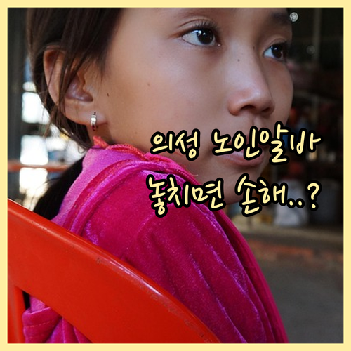 의성군 시니어클럽 노인 일자리 모집 ..