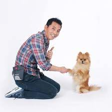 이찬종 성추행 동물농장 공식입장