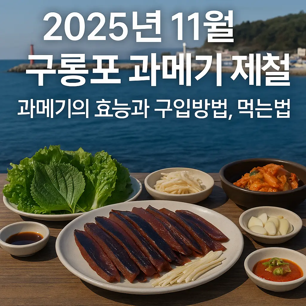 2025년 11월 구룡포 과메기 제철, 과메기의 효능과 구입방법,먹는법까지