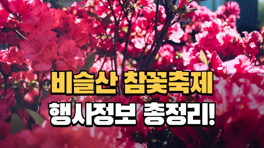 2025년비슬산참꽃축제사진