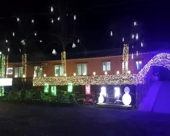 고니골 빛축제_17