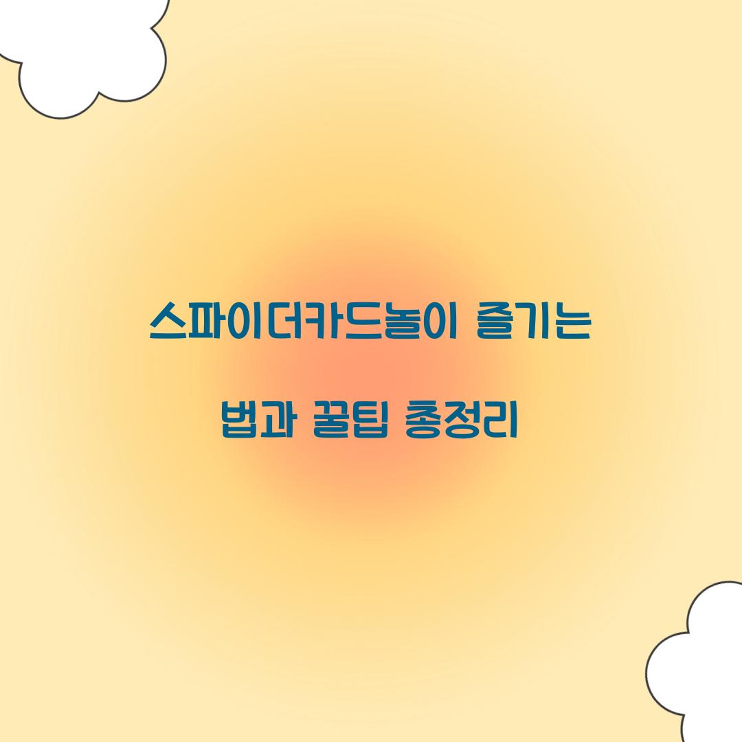 스파이더카드놀이