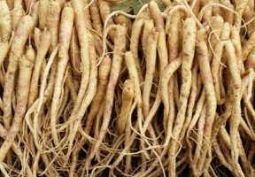 목에 좋은 음식